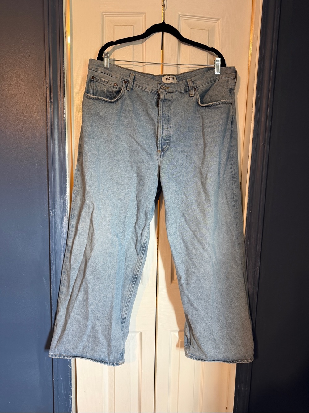 Agolde Low Rise Baggy Jeans